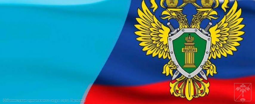 2024.11.29 С учетом позиции прокуратуры заключен под стражу подозреваемый в хулиганстве житель города Партизанска