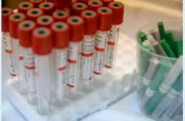 31.08.2023 Роспотребнадзор предупреждает об опасности сезонного гриппа | Администрация муниципального округа город Партизанск Приморского края Официальный сайт