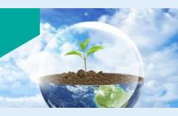 15.08.2023 «ЭкоМир» - это конкурс для всех | Администрация муниципального округа город Партизанск Приморского края Официальный сайт