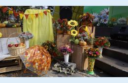 26.09.2023 Жителей округа приглашают к участию в конкурсе | Администрация муниципального округа город Партизанск Приморского края Официальный сайт