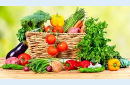 26.11.2021 О закупке овощной продукции. | Администрация муниципального округа город Партизанск Приморского края Официальный сайт