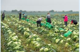 26.11.2021 Вниманию жителей города | Администрация муниципального округа город Партизанск Приморского края Официальный сайт