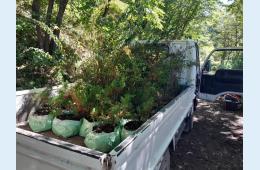 18.09.2023 В с.Мельники началась реализация грантовского проекта  | Администрация муниципального округа город Партизанск Приморского края Официальный сайт