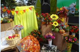 12.09.2023 1 октября состоится фестиваль, посвященный Дню пожилого человека | Администрация муниципального округа город Партизанск Приморского края Официальный сайт