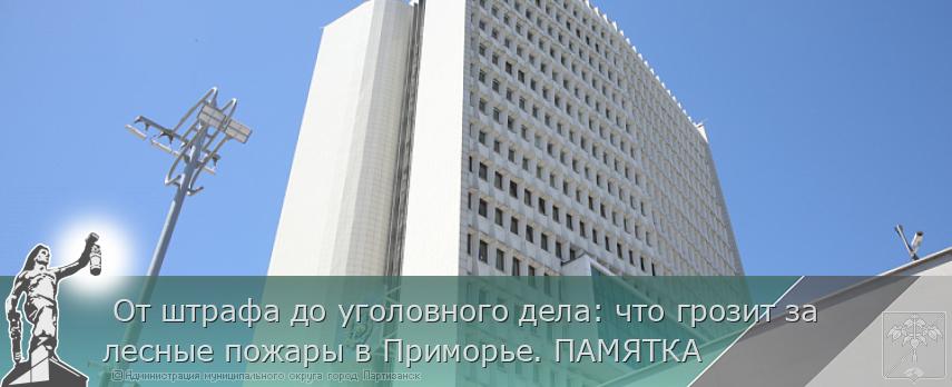  От штрафа до уголовного дела: что грозит за лесные пожары в Приморье. ПАМЯТКА | Администрация муниципального округа город Партизанск Приморского края Официальный сайт