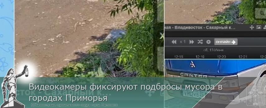 Видеокамеры фиксируют подбросы мусора в городах Приморья | Администрация муниципального округа город Партизанск Приморского края Официальный сайт