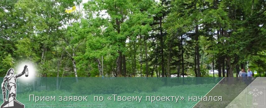Прием заявок  по «Твоему проекту» начался  | Администрация муниципального округа город Партизанск Приморского края Официальный сайт