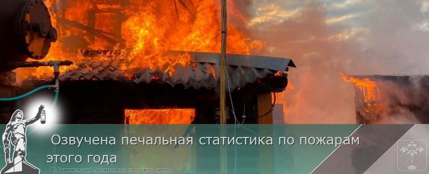 Озвучена печальная статистика по пожарам этого года | Администрация муниципального округа город Партизанск Приморского края Официальный сайт