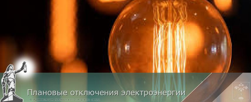 Плановые отключения электроэнергии | Администрация муниципального округа город Партизанск Приморского края Официальный сайт