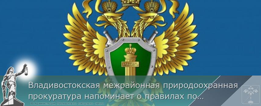 Владивостокская межрайонная природоохранная прокуратура напоминает о правилах пожарной безопасности в лесу | Администрация муниципального округа город Партизанск Приморского края Официальный сайт