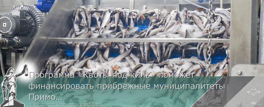 Программа «Квоты под киль» поможет финансировать прибрежные муниципалитеты Приморья | Администрация муниципального округа город Партизанск Приморского края Официальный сайт