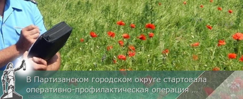 В Партизанском городском округе стартовала оперативно-профилактическая операция «Мак-2021» | Администрация муниципального округа город Партизанск Приморского края Официальный сайт