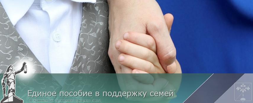 Единое пособие в поддержку семей | Администрация муниципального округа город Партизанск Приморского края Официальный сайт