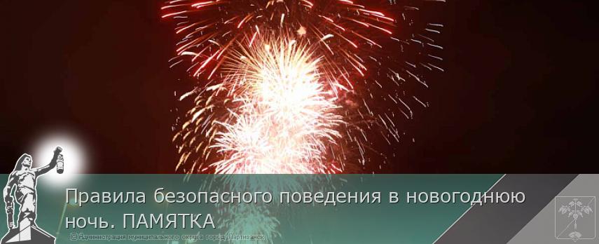Правила безопасного поведения в новогоднюю ночь. ПАМЯТКА  | Администрация муниципального округа город Партизанск Приморского края Официальный сайт