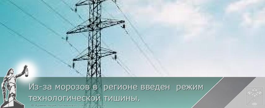 Из-за морозов в  регионе введен  режим технологической тишины. | Администрация муниципального округа город Партизанск Приморского края Официальный сайт