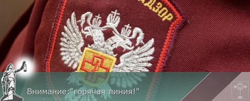 Внимание:&quot;горячая линия!&quot;  | Администрация муниципального округа город Партизанск Приморского края Официальный сайт