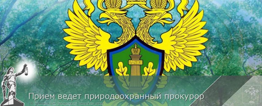 Прием ведет природоохранный прокурор | Администрация муниципального округа город Партизанск Приморского края Официальный сайт