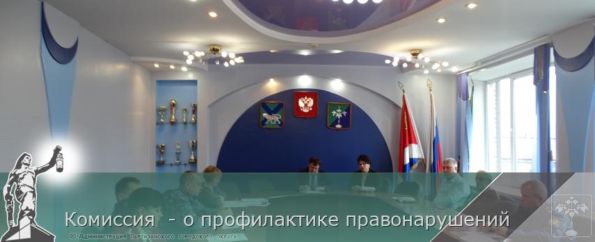 Комиссия  - о профилактике правонарушений | Администрация муниципального округа город Партизанск Приморского края Официальный сайт