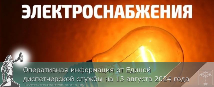 Оперативная информация от Единой диспетчерской службы на 13 августа 2024 года | Администрация муниципального округа город Партизанск Приморского края Официальный сайт