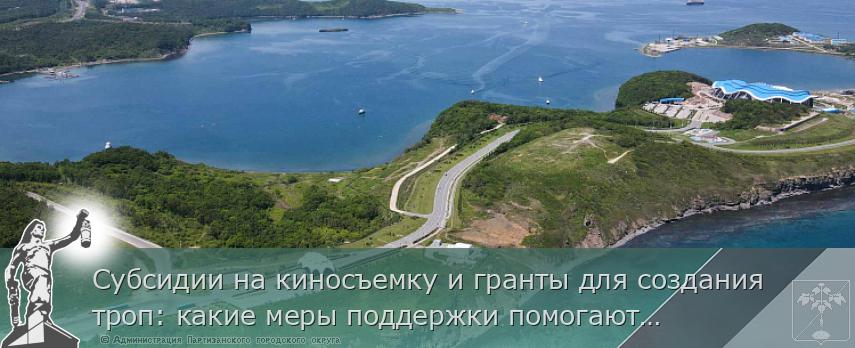 Субсидии на киносъемку и гранты для создания троп: какие меры поддержки помогают турбизнесу Приморья,  | Администрация муниципального округа город Партизанск Приморского края Официальный сайт