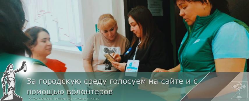 За городскую среду голосуем на сайте и с помощью волонтеров | Администрация муниципального округа город Партизанск Приморского края Официальный сайт