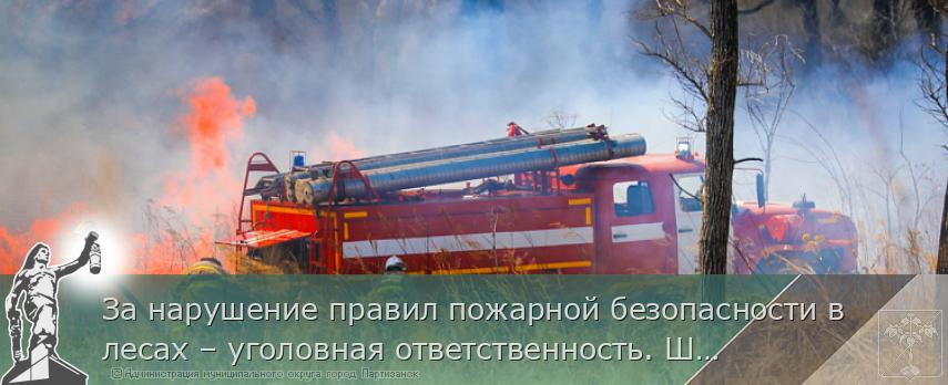 За нарушение правил пожарной безопасности в лесах – уголовная ответственность. ШТРАФЫ  | Администрация муниципального округа город Партизанск Приморского края Официальный сайт