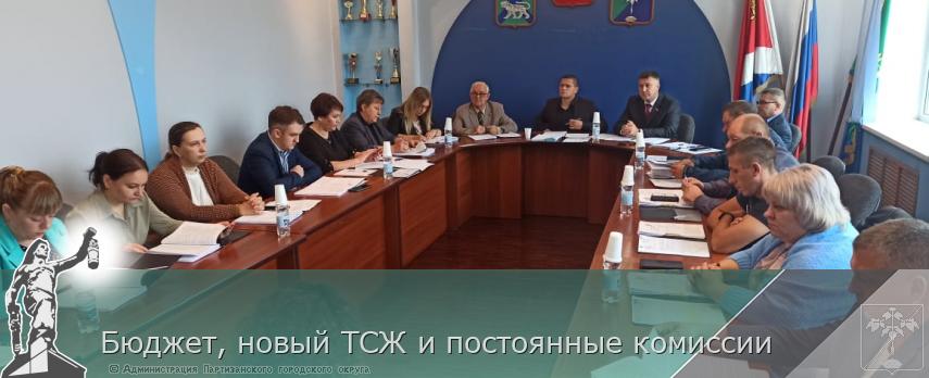 Бюджет, новый ТСЖ и постоянные комиссии | Администрация муниципального округа город Партизанск Приморского края Официальный сайт