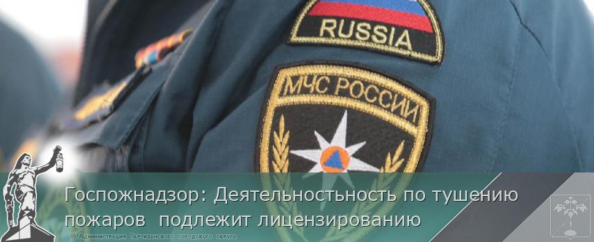 Госпожнадзор: Деятельностьность по тушению пожаров  подлежит лицензированию | Администрация муниципального округа город Партизанск Приморского края Официальный сайт