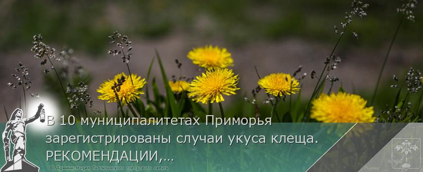В 10 муниципалитетах Приморья зарегистрированы случаи укуса клеща. РЕКОМЕНДАЦИИ, сообщает www.primorsky.ru | Администрация муниципального округа город Партизанск Приморского края Официальный сайт В 10 муниципалитетах Приморья зарегистрированы случаи укуса клеща. РЕКОМЕНДАЦИИ, сообщает www.primorsky.ru | Администрация муниципального округа город Партизанск Приморского края Официальный сайт