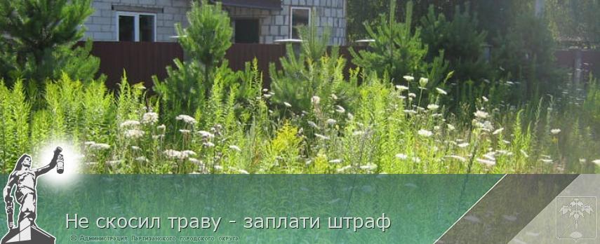 Не скосил траву - заплати штраф | Администрация муниципального округа город Партизанск Приморского края Официальный сайт