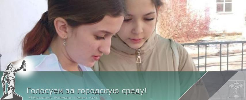Голосуем за городскую среду! | Администрация муниципального округа город Партизанск Приморского края Официальный сайт
