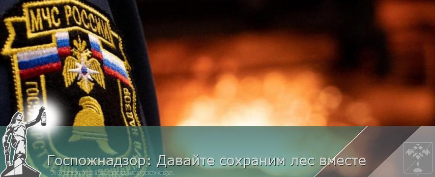 Госпожнадзор: Давайте сохраним лес вместе | Администрация муниципального округа город Партизанск Приморского края Официальный сайт