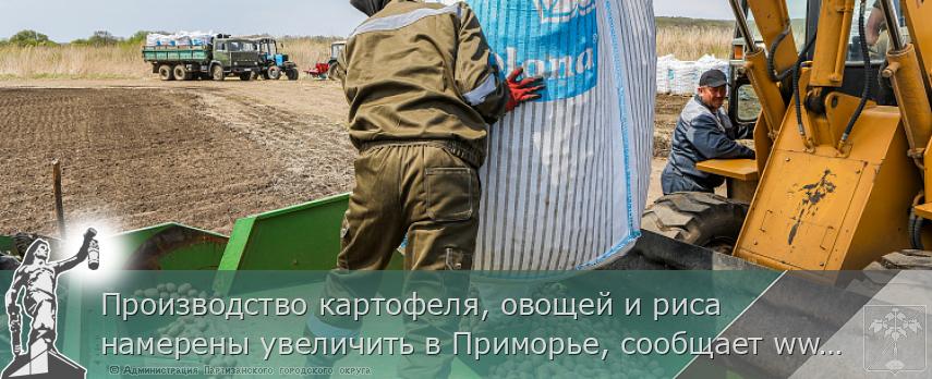 Производство картофеля, овощей и риса намерены увеличить в Приморье, сообщает www.primorsky.ru | Администрация муниципального округа город Партизанск Приморского края Официальный сайт Производство картофеля, овощей и риса намерены увеличить в Приморье, сообщает www.primorsky.ru | Администрация муниципального округа город Партизанск Приморского края Официальный сайт
