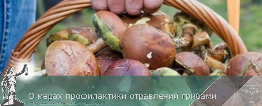 О мерах профилактики отравлений грибами | Администрация муниципального округа город Партизанск Приморского края Официальный сайт