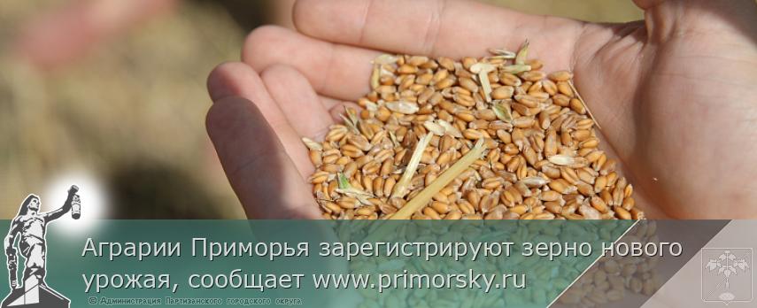 Аграрии Приморья зарегистрируют зерно нового урожая, сообщает www.primorsky.ru  | Администрация муниципального округа город Партизанск Приморского края Официальный сайт