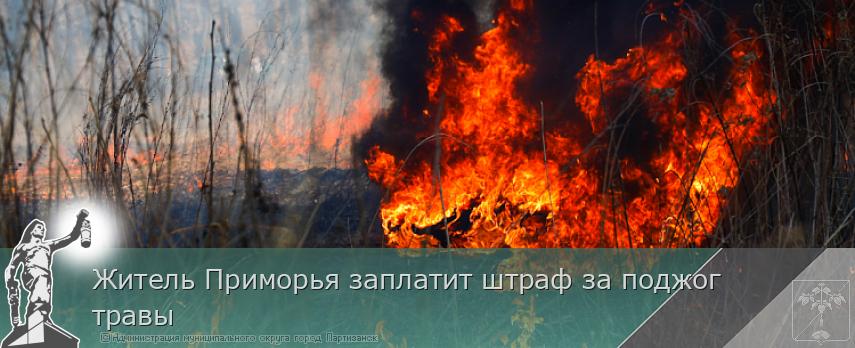 Житель Приморья заплатит штраф за поджог травы | Администрация муниципального округа город Партизанск Приморского края Официальный сайт