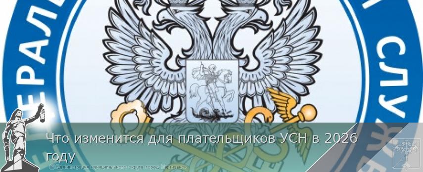 Что изменится для плательщиков УСН в 2026 году | Администрация муниципального округа город Партизанск Приморского края Официальный сайт