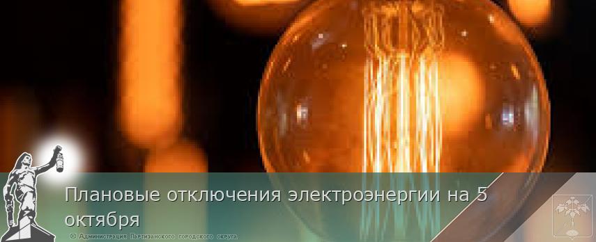Плановые отключения электроэнергии на 5 октября | Администрация муниципального округа город Партизанск Приморского края Официальный сайт